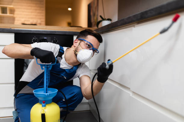 Best Pest Control for Businesses  in Gering, NE