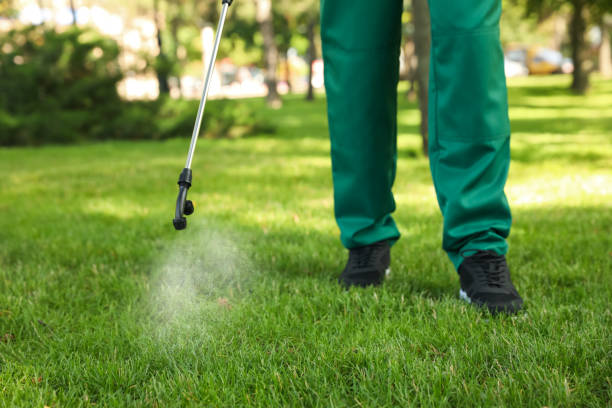 Best Flea Control Services  in Gering, NE